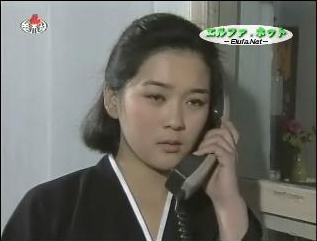 jpeg picture of a scene from North Korean TV