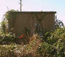 jpeg thumbnail of AT&T Optical-Amplifier FFT6S